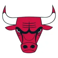 chicago bulls :0