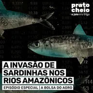 A invasão de sardinhas nos rios amazônicos