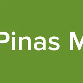 GTA Pinas Maven