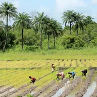 S7 Ep21: Boosting farmers' profits