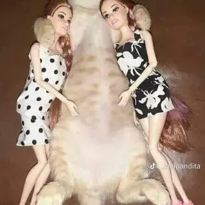 Nachito