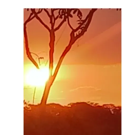 não tendo nada mas possuindo tudo