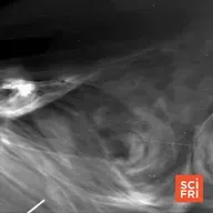 Parker Solar Probe Captures Closest-Ever Images Of The Sun