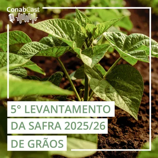Estimativa da produção de grãos na safra 20256/26 é atualizada para 353,4 milhões de toneladas