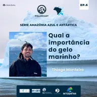 Qual a importância do gelo marinho? 