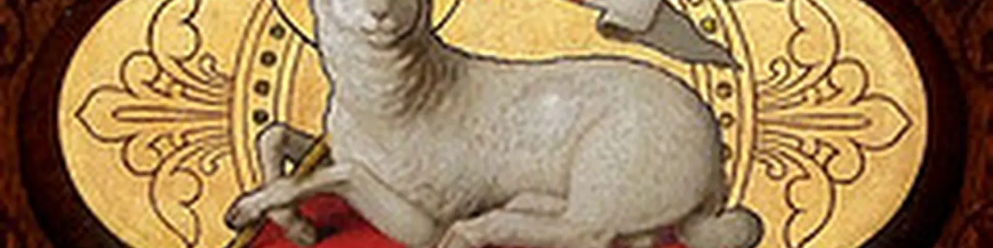 Tiempo de DIOS