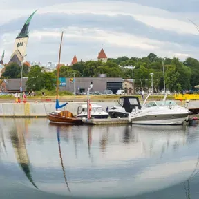 В поле зрения