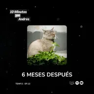 T5. E13. 6 Meses Después