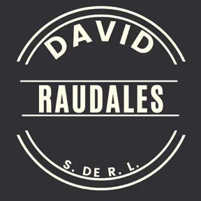 DAVID RAUDALES