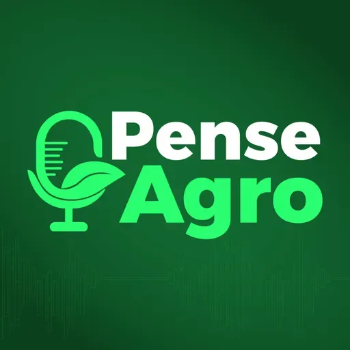 Pense Agro: Com oferta elevada no Brasil e no Mercosul, preço do arroz cai mais de 30% em SC