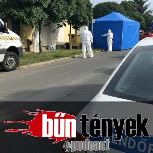 BŰNtények podcast@Az indok nélküli gyulai késelés
