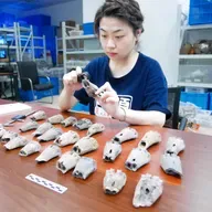 Dong Ningning: Decoding the role of horses in Chinese history and culture