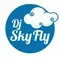 RADIO SKYFLY