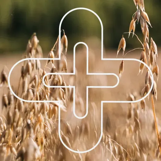 Myötätuntoinen Jeesus - Timo Kallinen