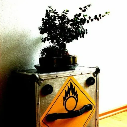 Mrs. M. On Fire [fouling around construction process.........yaaaaaaaawn]
