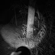 EL ENTE DEL CAFETAL | 3 relatos reales de terror de suscriptores
