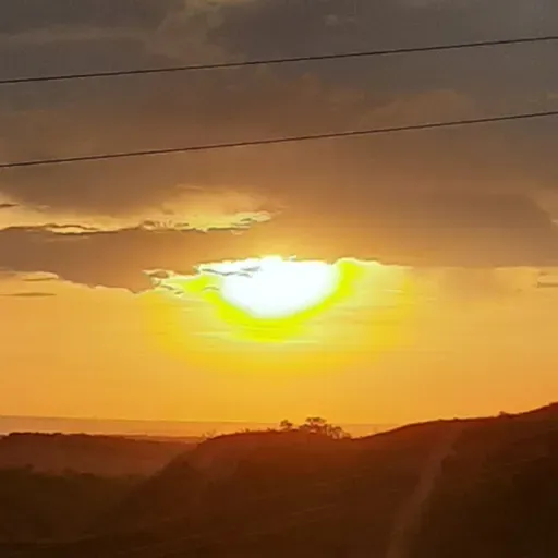 a vida que quero não encontrei aonde está?