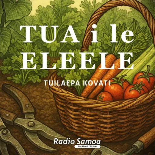 TUA i le ELEELE #24
