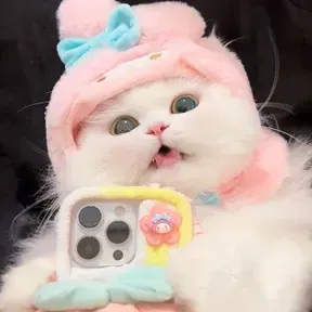 momoyo