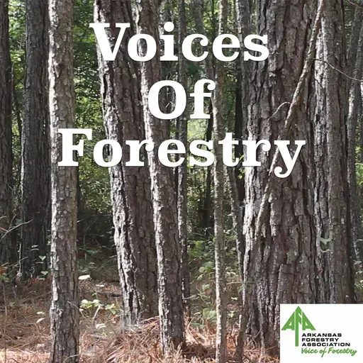 Voices of Forestry Ep. 60 - Forest Carbon Market Evolution