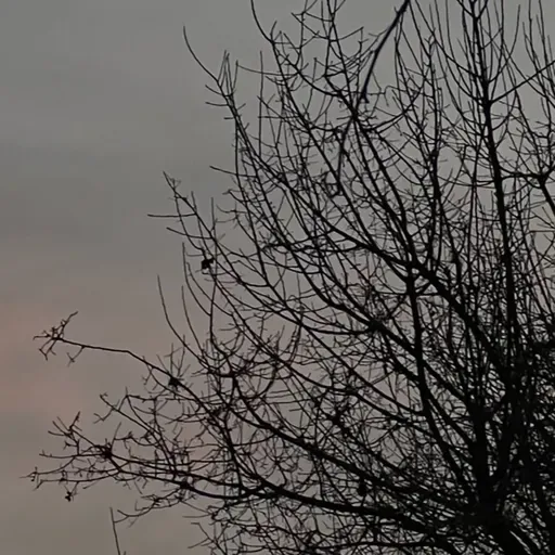 444. Mektûba Guhdar Ro: Li Xwe û Mala Xwe Digerim