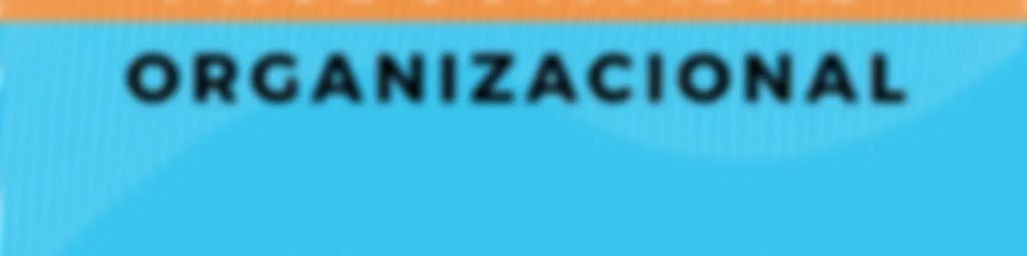 Productividad Organizacional