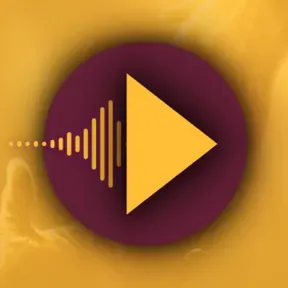 WEB RADIO VN
