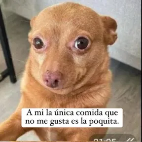 asdasdasdasda