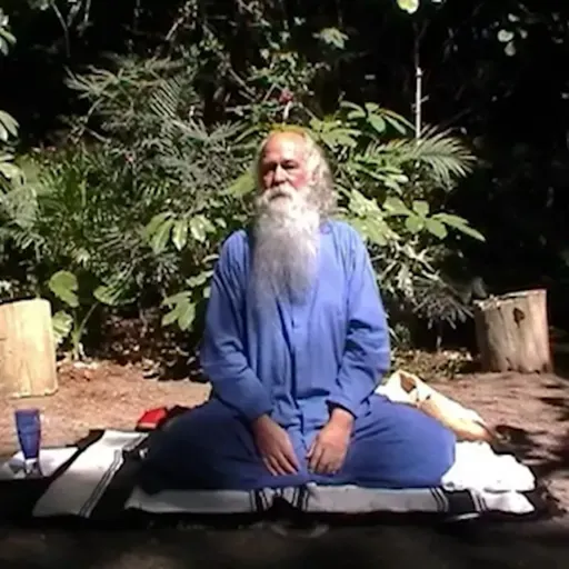 311 - 2020_03_05 - Retiro de silencio - Febrero 2020 - 2 de 8 - Satsang