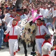 TARDE ABIERTA T07C157 Los caballos del vino se preparan un año más para cautivar al visitante (01/05/2026)