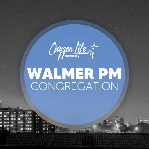 Opportunities are Everywhere | Walmer PM | Shaun Brauteseth