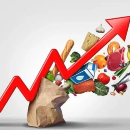 بودجه ۱۴۰۵؛ مردم یا حفظ نظام؟-صلاح  عبدالله نژاد