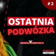 MIA NIE WRÓCIŁA DO DOMU | SPRAWA MII SKADHAUGE STEVN #3 | ZBRODNIA PO NORDYCKU IV
