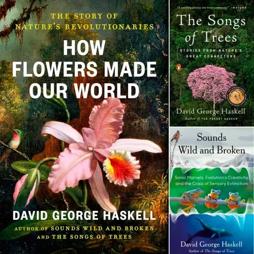 AI, Escaping the Screen & Listening to the Living World: DAVID HASKELL on the Songs of Nature - Highlights