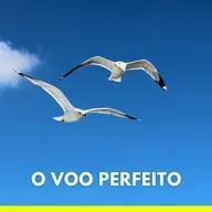 145 O Voo Perfeito - Nova Edição