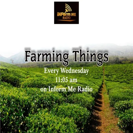 Farming Things 2nd of March 2022