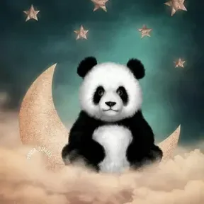PandaMoon WebRadio