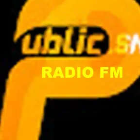 PUBLIC SN RADIO FM