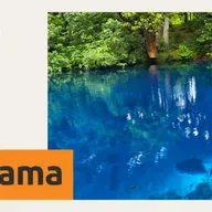 Understand Aboriginal land rights in Australia - Andastandem ol raet blong kraon blong Aborijinal pipol long Ostrelia