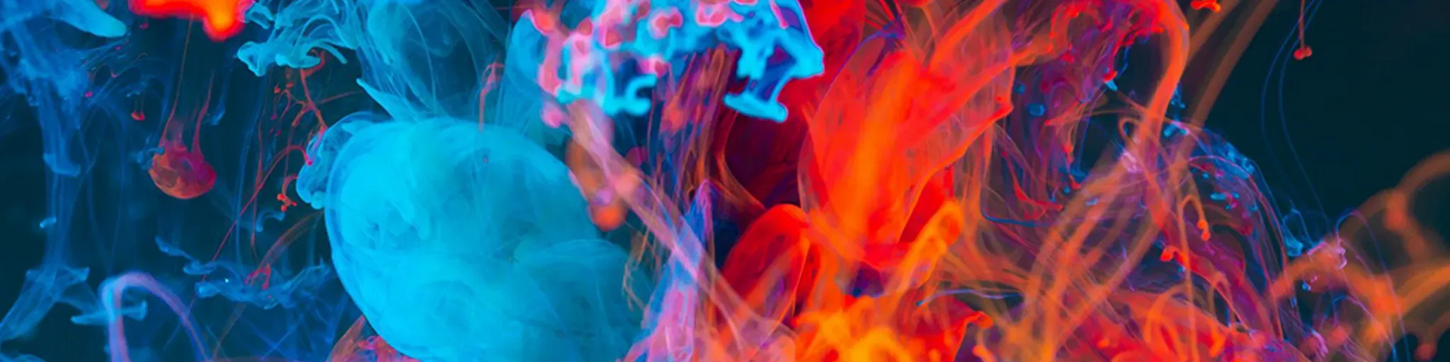 ■ Fame Artist Radio ■