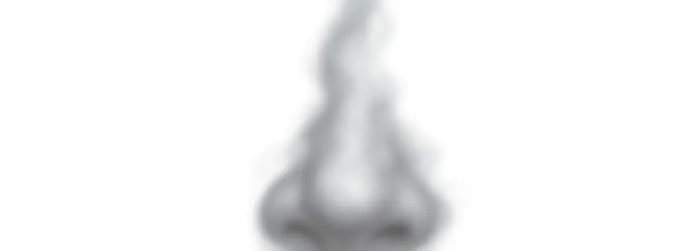 Koku
