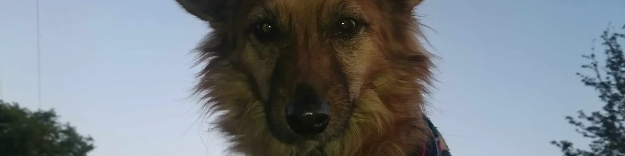 zoibiFM