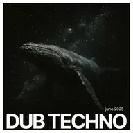 dj Shabby - June 2025 Dub Techno Mix