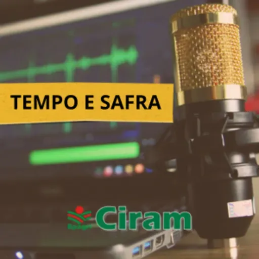 11 de setembro - Bate-papo Tempo e Safra