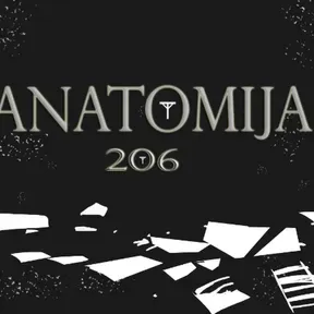 ANATOMIJA 206