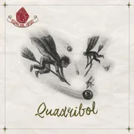 #EspecialHP20 - 11. Quadribol