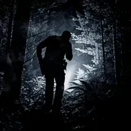Bump in the Night