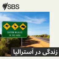 Women’s legal services in Australia: Understanding your options - خدمات حقوقی برای زنان در آسترالیا؛ چه گزینه‌های در دسترس است؟