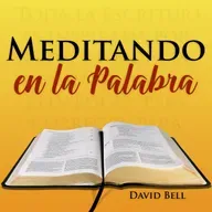 MelP_331-Numeros_9_18