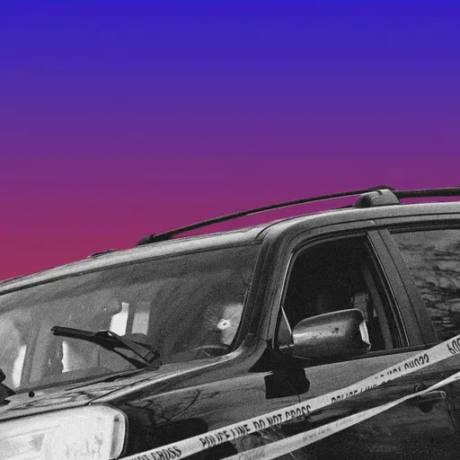 Everyone Saw ICE Kill Renee Good